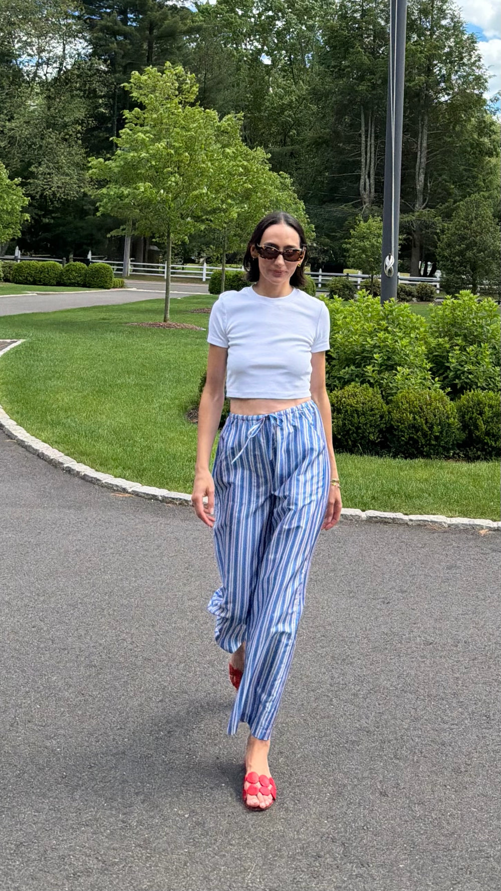 Americana Stripe